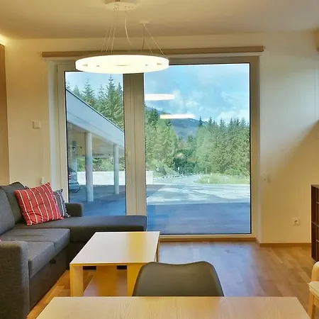 Fastenberg - Ski In/ski Out Daire *